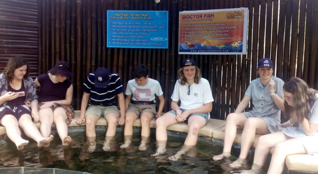 Fish Therapy at Gembira Loka Zoo