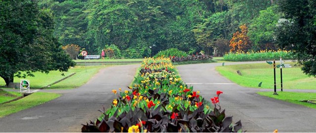 Taman Astrid, Bogor Botanical Gardens