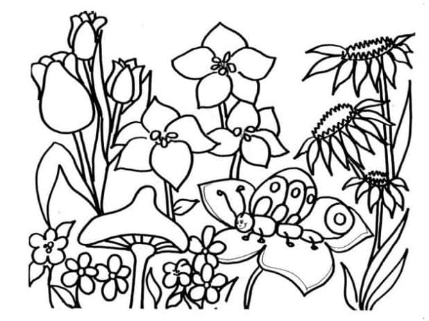 coloring flowers pictures