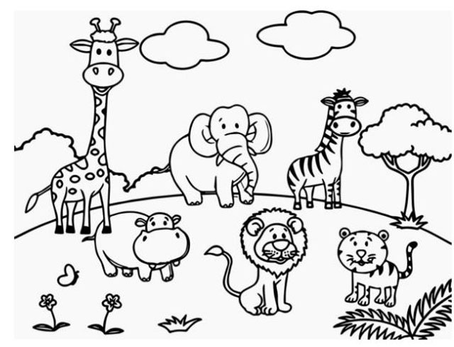 coloring pictures of animal pictures
