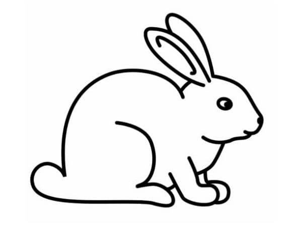 coloring rabbit image