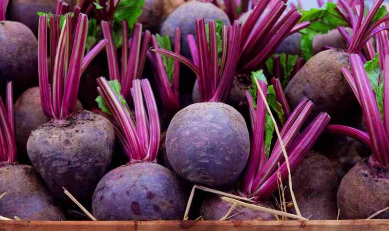 Benefits of Beets for Health