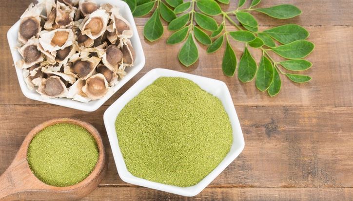 Moringa health benefits for Fights infection