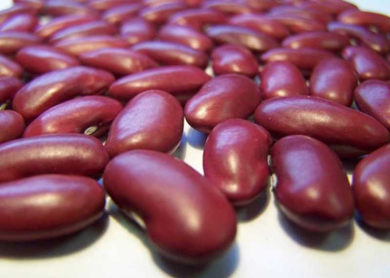 Black or Kidney Beans