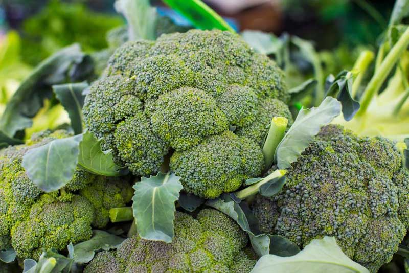 Broccoli as heart healthy food