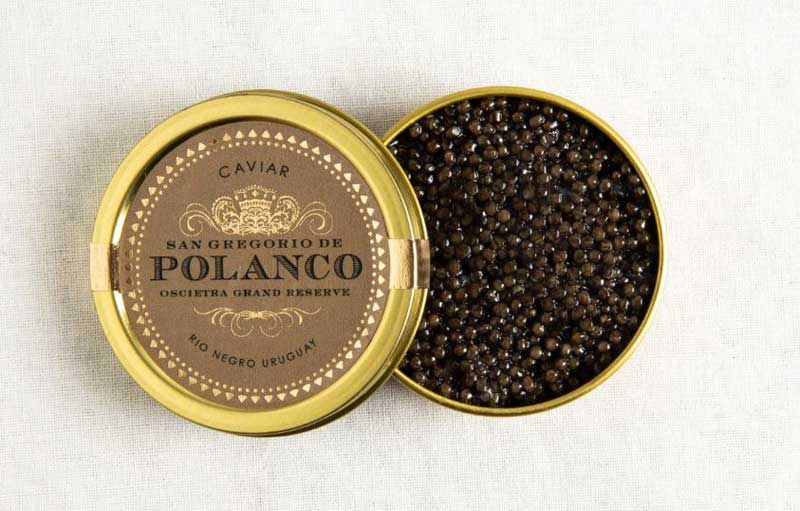 Caviar the food rich in omega-3 fatty acid