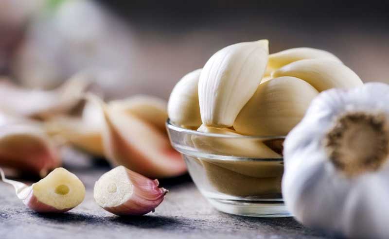 Garlic, white spice for health benefits