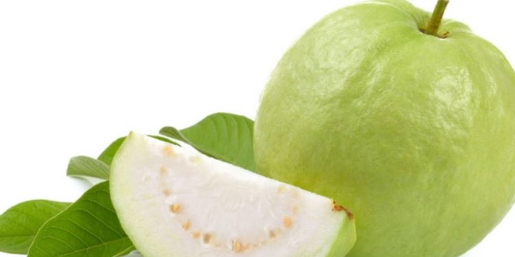 Guava, fruits to eat for weight loss