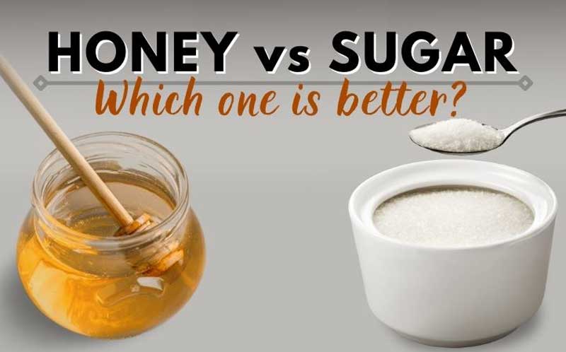 Honey Vs Sugar, Which is Better