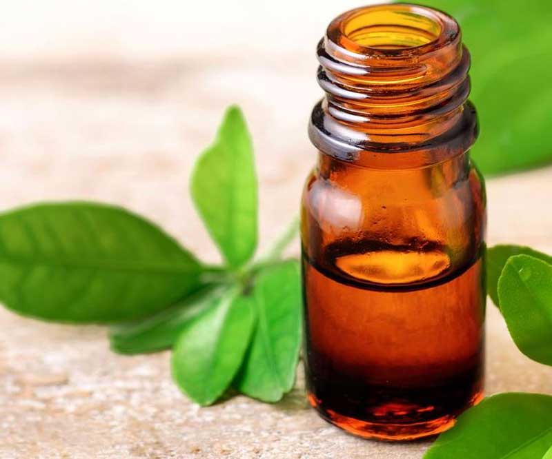 Petitgrain essential oil for treatment the itchy