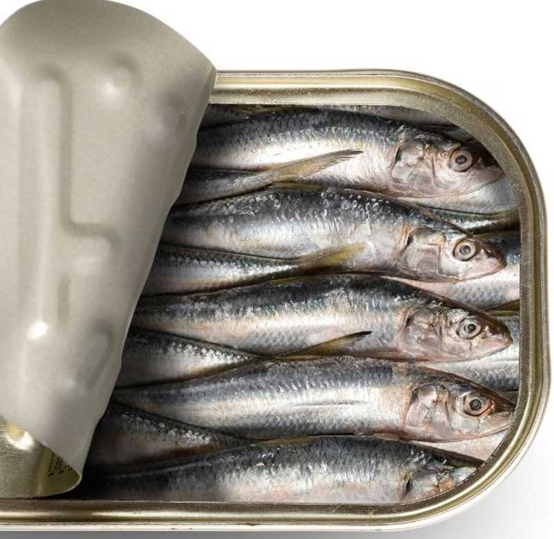 Sardines food that is rich in omega 3 fatty acid