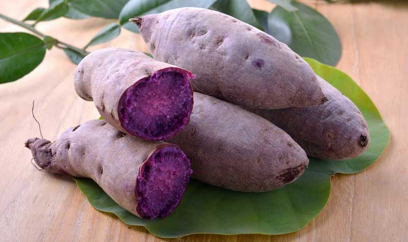 What is Ube, what is difference to taro