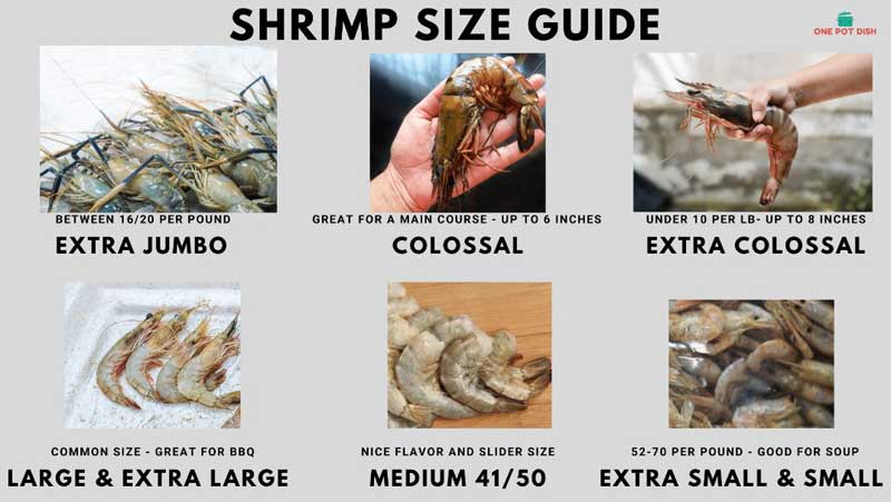 shrimp size guides, How Many Pounds Of Shrimp Per Person