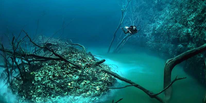 Cenote Angelita, An Incredible Underwater River