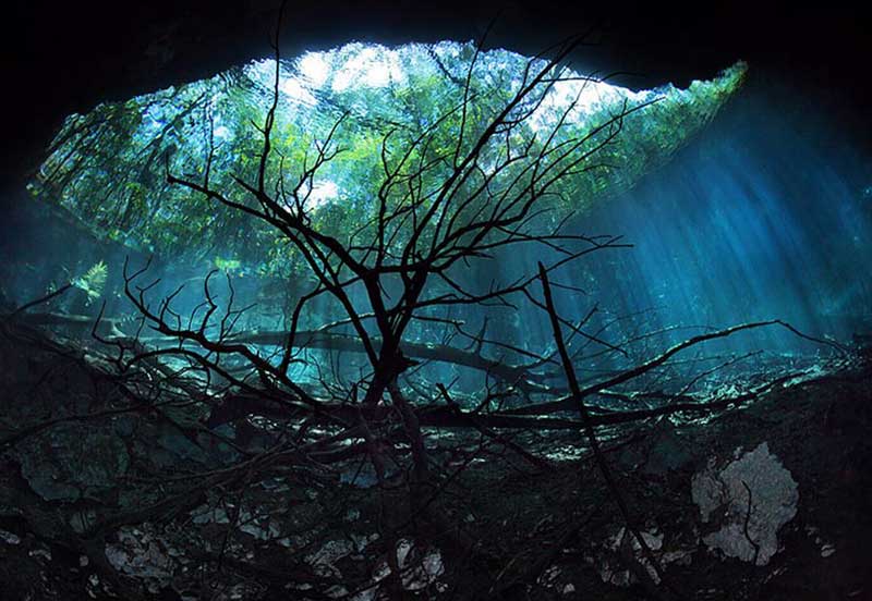 Cenote Angelita, Mexico