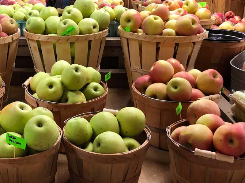 How To Choose Apples Correctly