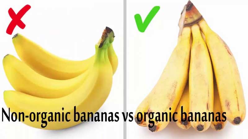 Organic Bananas vs Regular Bananas defference