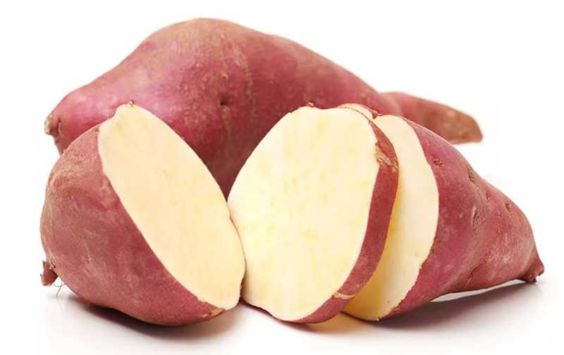 White Sweet Potatoes is Nutrient-rich Food