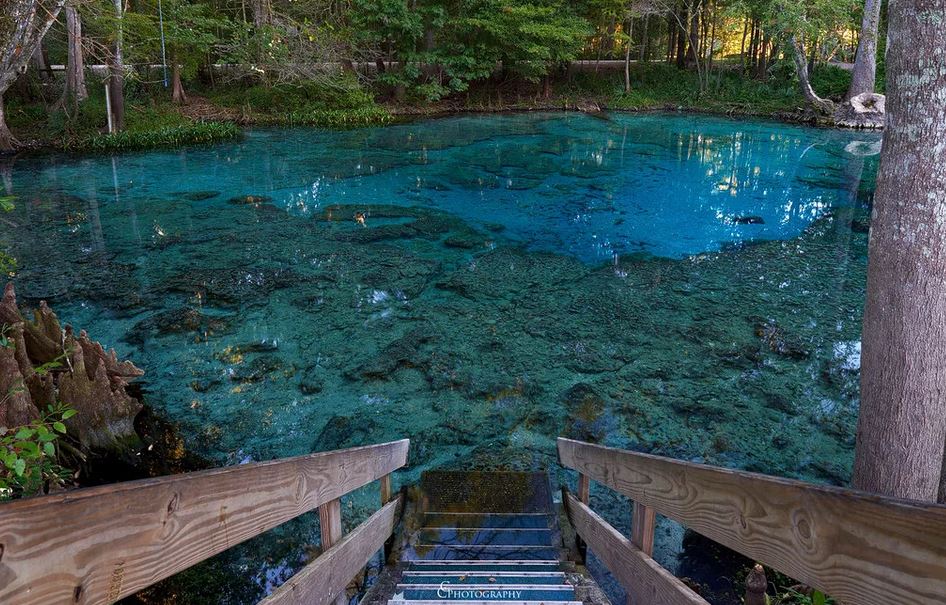 Crystal Clear Waters at Ginnie Springs