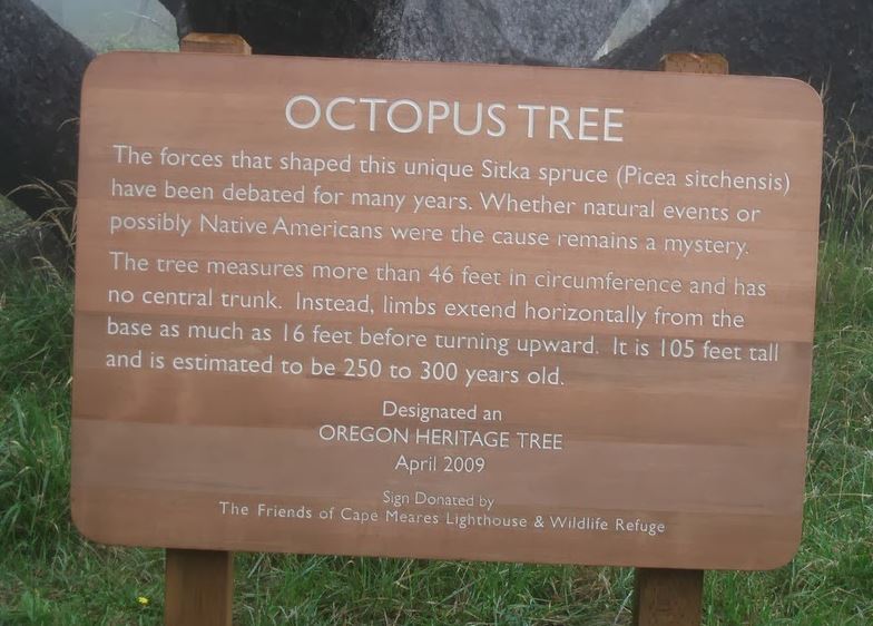 The sign near the octopus tree