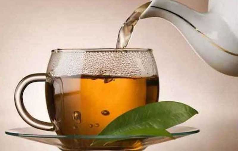Guava Leaf Tea Benefits