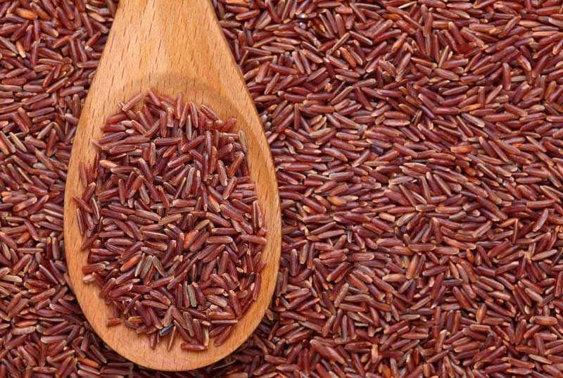 Why You should Consider Brown Rice as a Weight Loss Food