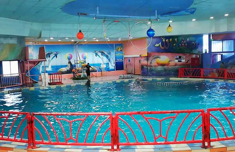 watch the dolphin show at the dolphin village in Dammam City