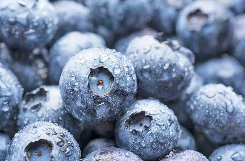 Blueberrie, The Best Antioxidant-Rich Foods