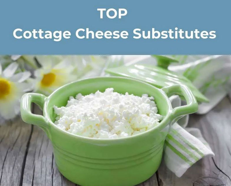 Best Cottage Cheese Substitutes