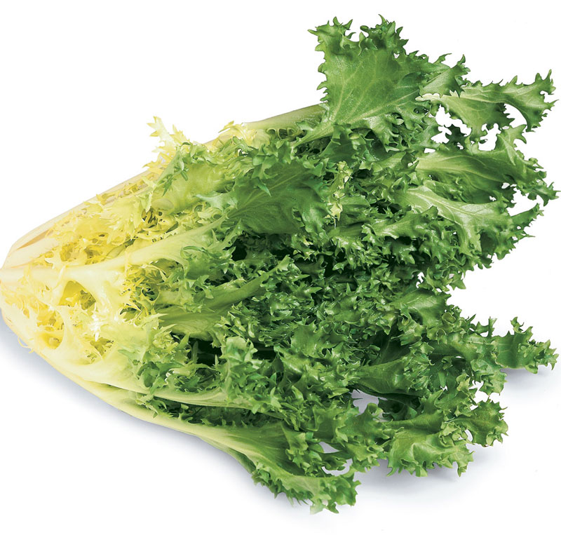 Endive as substitute for parsley