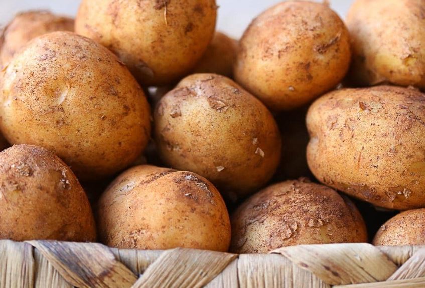 How to Store Potatoes to Keep Them Fresh