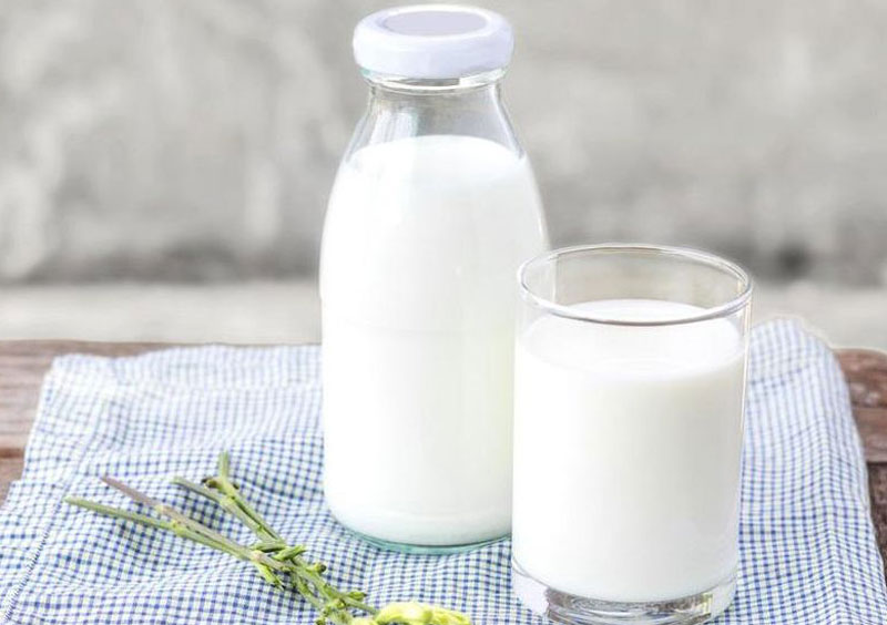 Milk for high protein drink