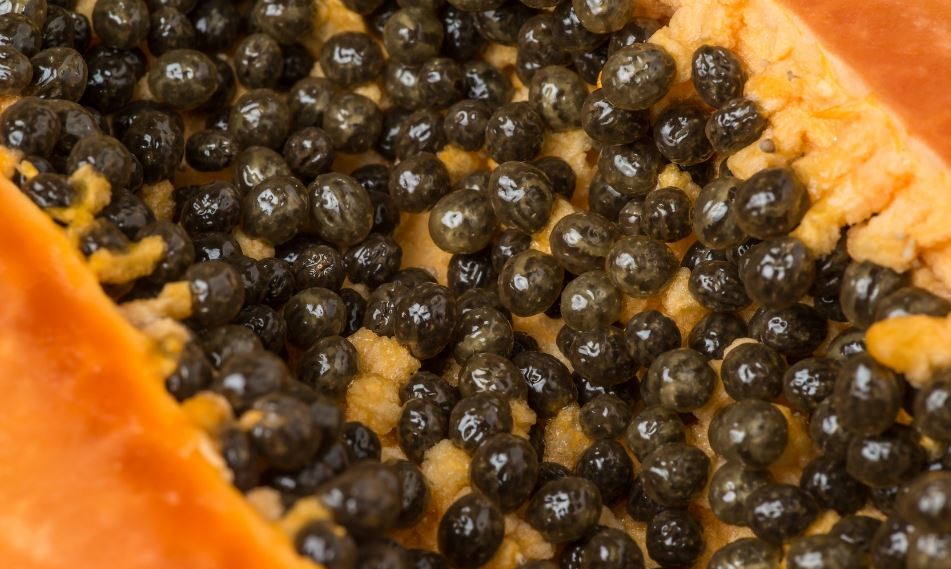 Papaya seeds for Treating skin problems
