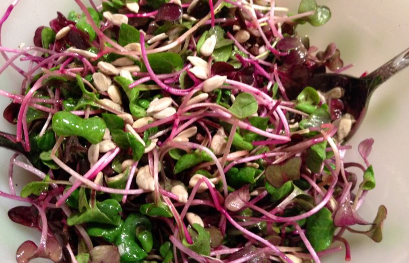 Radish sprouts benefits for Cardiovascular health