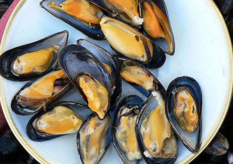 What Are Black Mussels