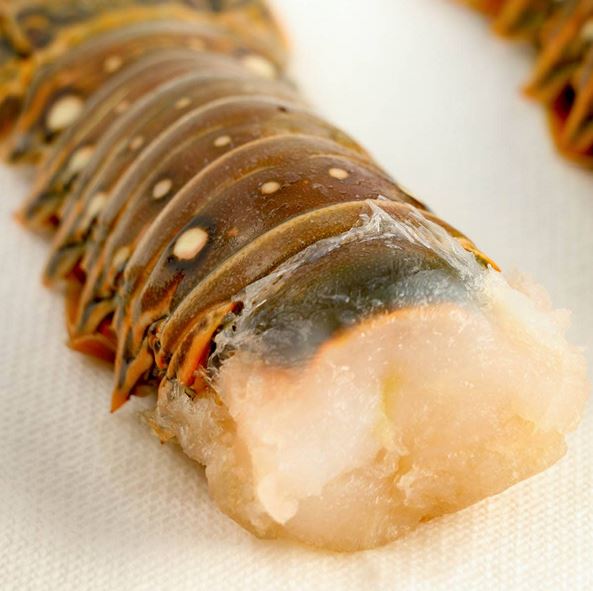 Get your Lobster Ready, cut lobster tail