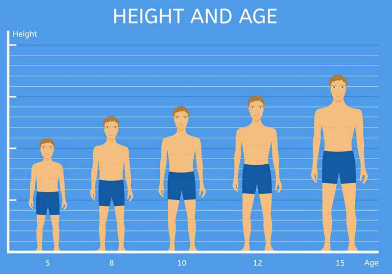 chart for average height teenager