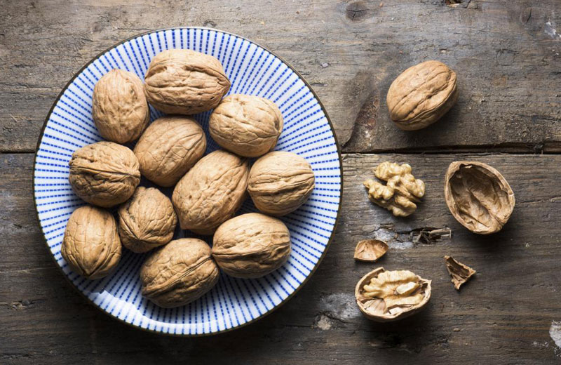 Walnuts is a healthy foods to prevent cancer