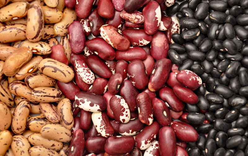The Best Beans For Chili