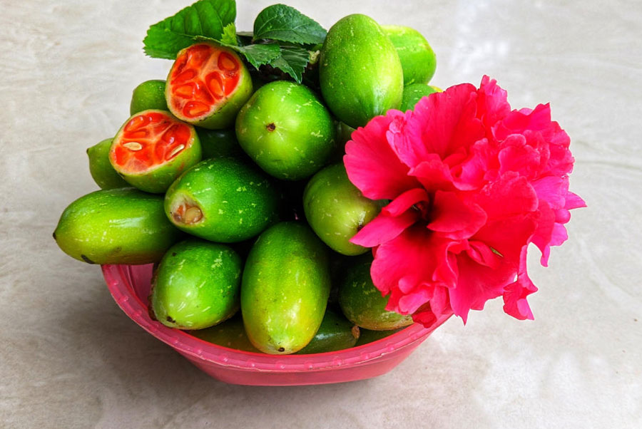Ivy Gourd for Digestive Health