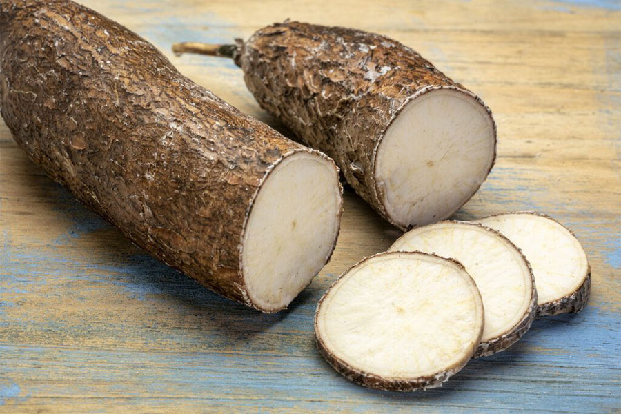 What is Yuca